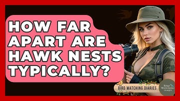 How Far Apart Are Hawk Nests Typically? - Bird Watching Diaries