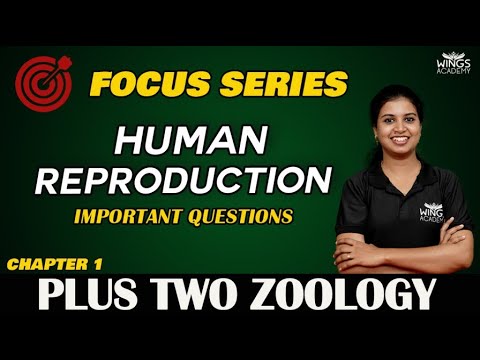 HUMAN REPRODUCTION | CHAPTER 1 | PLUS TWO ZOOLOGY | FOCUS SERIES ...
