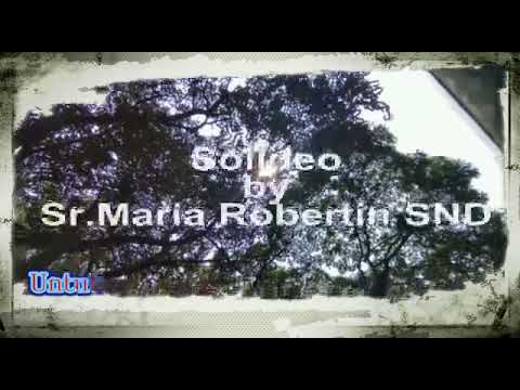 Soli Deo \