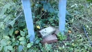 Geocaching In The Maze