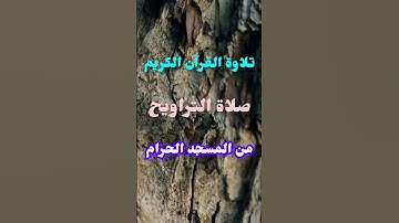 مصابيح من صلاة التراويح قبس من تلاوة