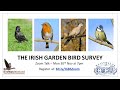 Irish Garden Bird Survey - Zoom Talk - 30 Nov 2020