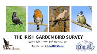Irish Garden Bird Survey - Zoom Talk - 30 Nov 2020 by BirdWatchIreland 1,824 views 3 years ago 2 hours, 13 minutes