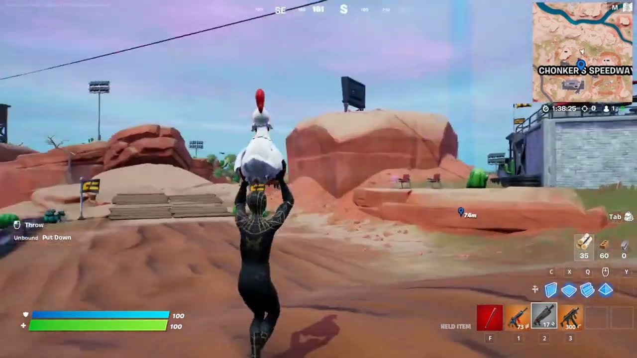 How to Catch a chicken in different matches [3] | Fortnite Avian Ambush Week