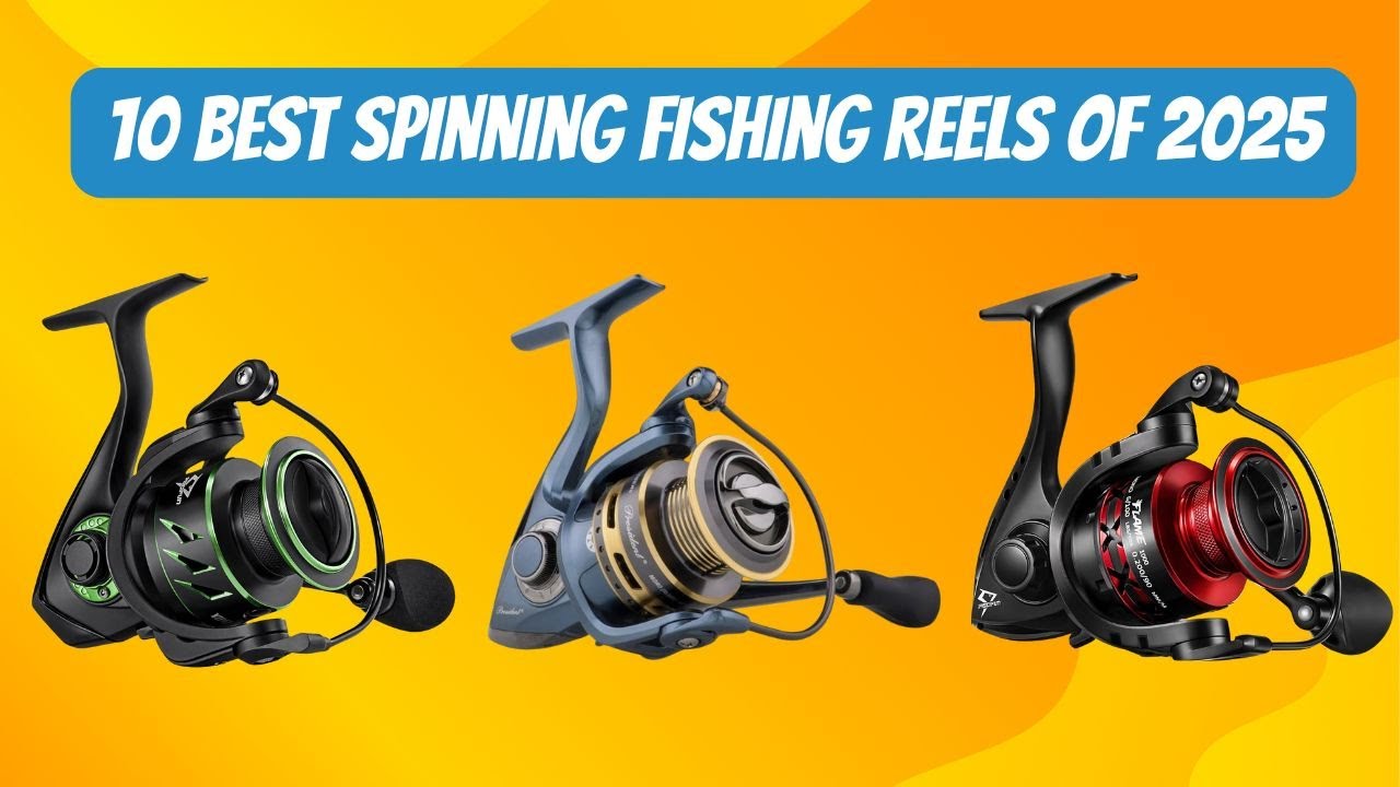 10 best spinning fishing reel 2025 | best fishing reels of 2025 ...