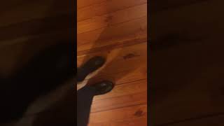 The Rapping “Tapping” Witch Wishes All A Very Happy Halloween