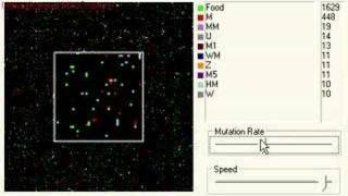 Chaos is Creation: evolution in real time
