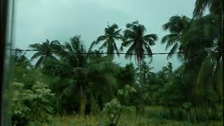 Story WA 30 detik // Cinematic hujan-petir° By: VN