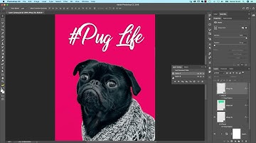 How to Use Layer Comps Photoshop
