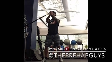 Pallof Press 3D Variation