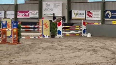 241103b SMEAGLE VH EIGENLO clear 125 class NL 2018 gelding by Echo X Vigo