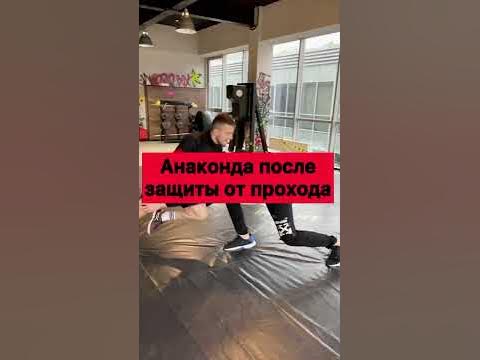 Анаконда после защиты - YouTube