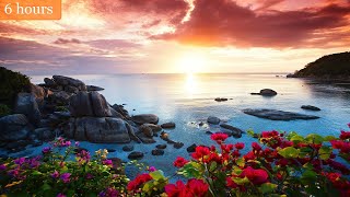 Relaxing Harp Music: Stress Relief, Sleep, Meditation, Spa | Instrumental Background Music ★69