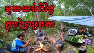Set up a tent in the forest for a night after a day of searching for food in the forest.