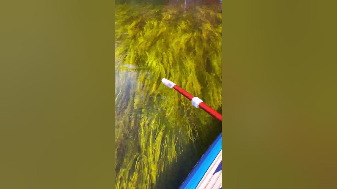 Оредеж sup