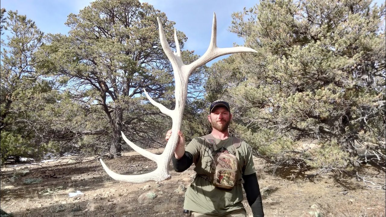 Finally Matched Jake's Bull - YouTube