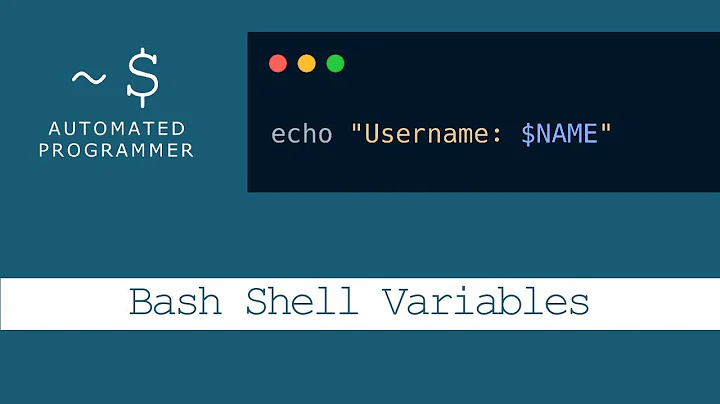 Bash Scripting: Variables & String Manipulation
