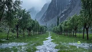 Heavy Rain Sounds in a Green Mountain Valley for Deep Sleep & Relaxation (Nature ASMR) 🌧️