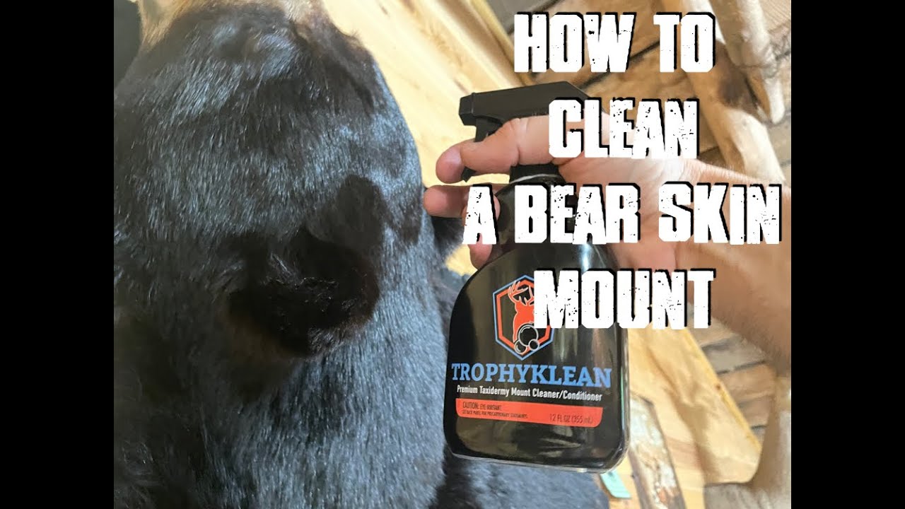 How to clean a bear skin rug. Trophy Klean Velvet Antler