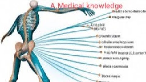 chapter 11 Angular kinematics of human movement part 2
