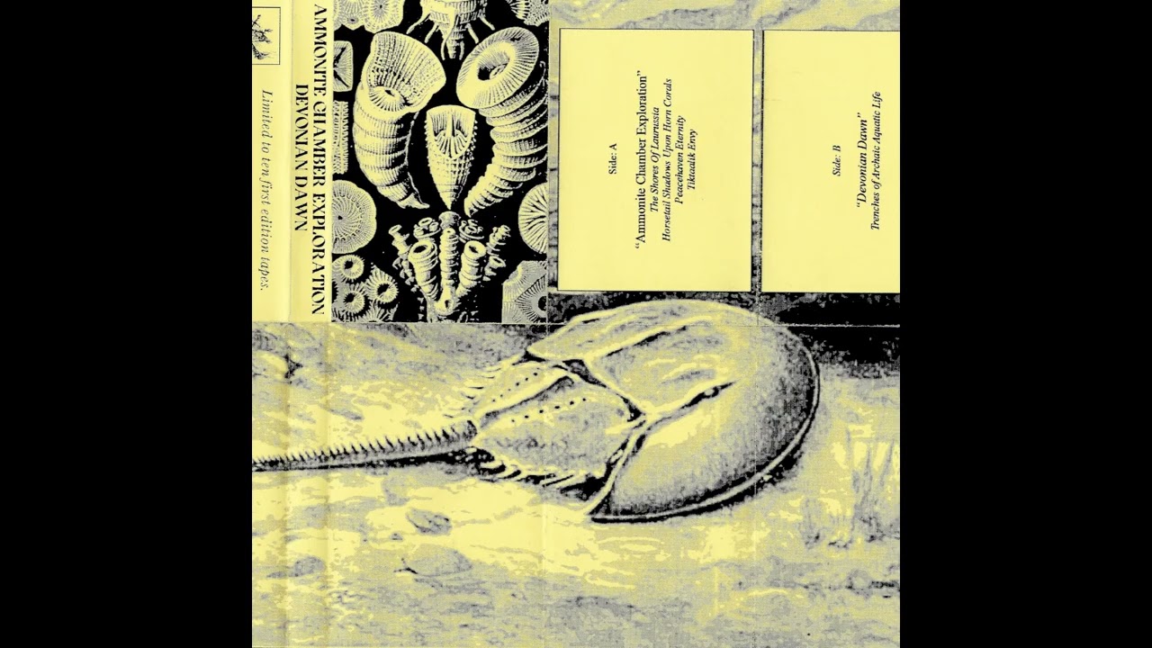 Ammonite Chamber Exploration / Devonian Dawn - Split (Full) (Dark Ambient / Raw Dungeon Synth)