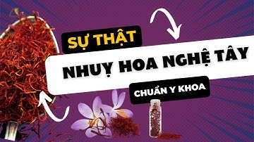 Saffron. Nhuỵ hoa nghệ tây - Công dụng của nhuỵ hoa nghệ tây chuẩn y khoa