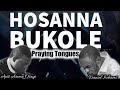 Hossana Bukola And Tongues Apostle Arome Osayi Daniel Lubams Hossana Bukola And Tongues Apostle Arome Osayi Daniel Lubams