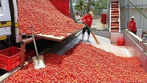 FAST WORKERS COMPILATION #2