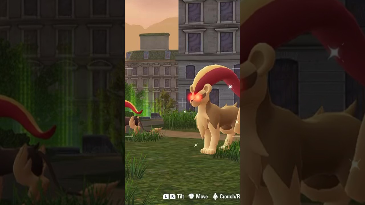 The Best Random Shiny I Found! 