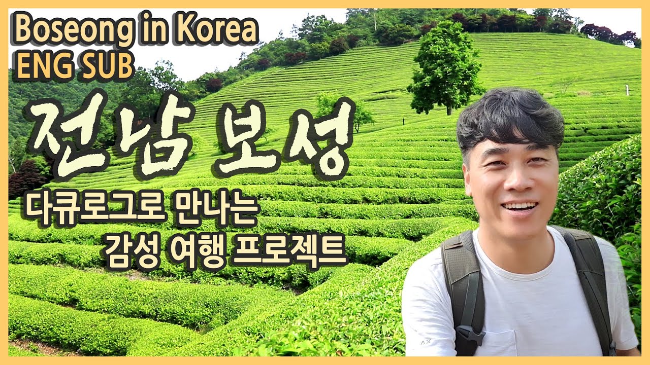 국내여행 다큐 전남 보성여행 / 여행코스 & 보성 맛집 / 대한다원, 봇재, 득량역 추억의거리, 강골마을, 열화정, 국내여행지추천, 여행유튜버