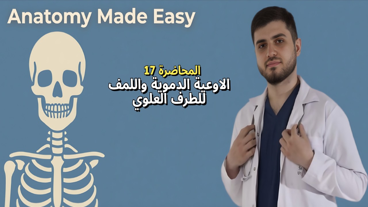 Upper Limb Vasculature and Lymphatic System | الاوعية الدموية واللمف للطرف العلوي– Anatomy Made Easy