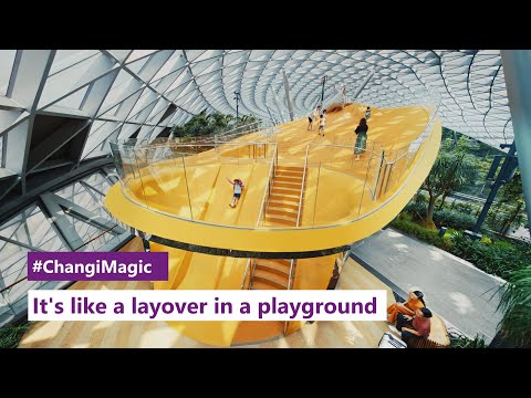 It's like a layover in a playground – that's Changi Airport