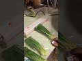 Черемша,витамины весенние.
