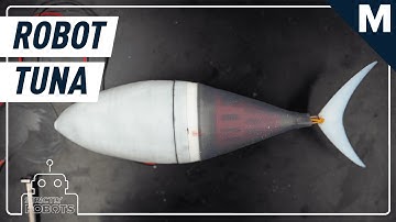 Robotic Tuna May Be the Key to Understanding the Physics of Fish | Mashable