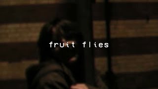 C•SALT - Fruit Flies (Lyric Video)