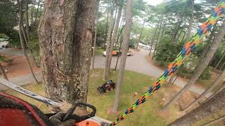 Famous Removal of dead hazardous 100' pine tree. Wealth