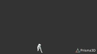 🥀 my first animation in prisma3D