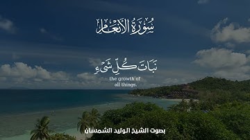 سورة الانعام تلاوة الشيخ الوليد الشمسان 5 ربيع الاخر لعام 1446 هــ