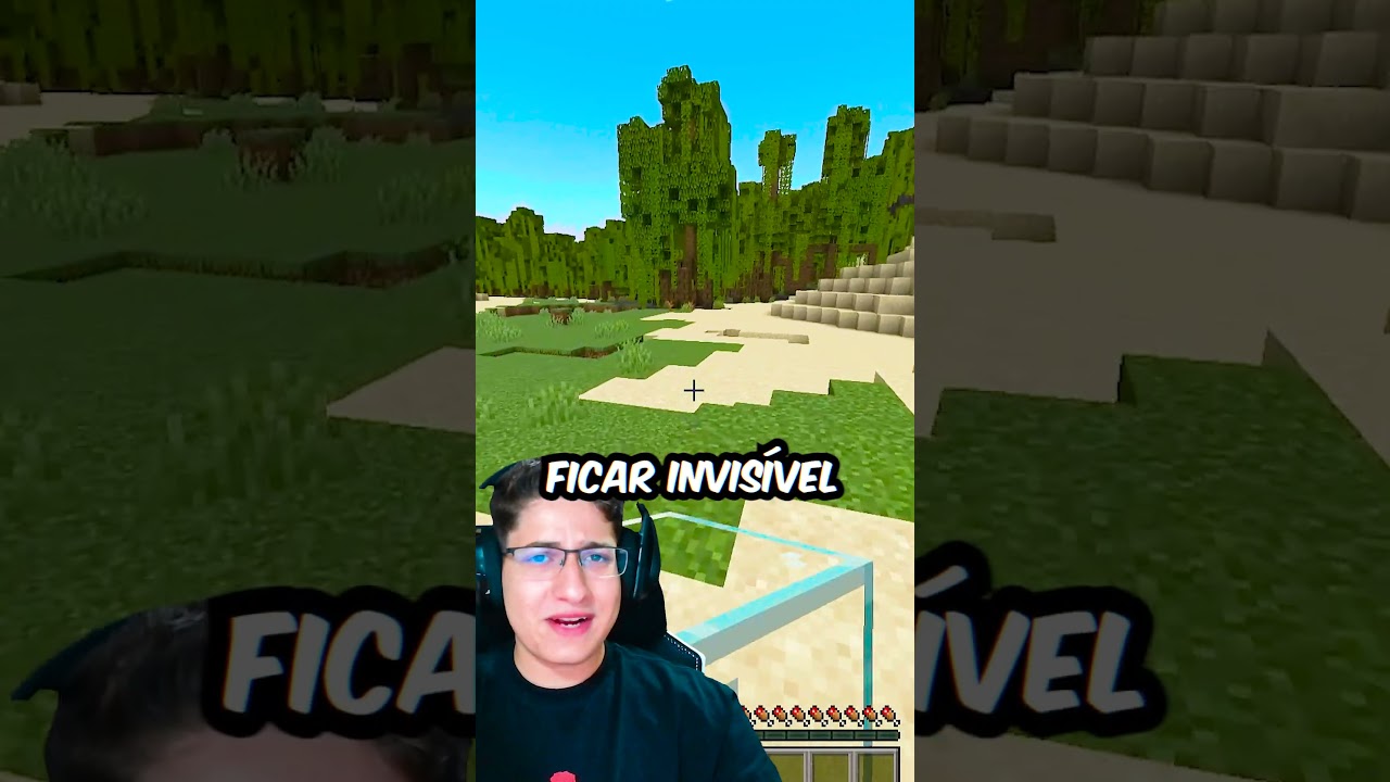 CRIEI IDEIAS BIZARRA NO MINECRAFT
