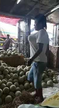 Goyang mesum. susunya segede melon