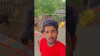 #video #viral | Choli Ke chij ge Rani | #Raushan Rohi | rangdari , #bhojpuri #new #song #funny 🌹❤