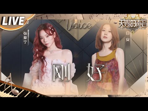 【独家Live版】张紫宁&白安《刚好》 世上没有绝对的适合 刚好填补空缺就已足够！#天赐的声音4 EP11