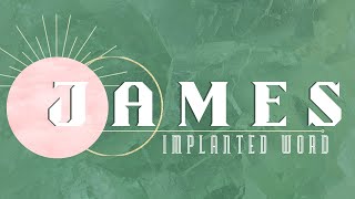 James #3 - The implanted Word screenshot 2