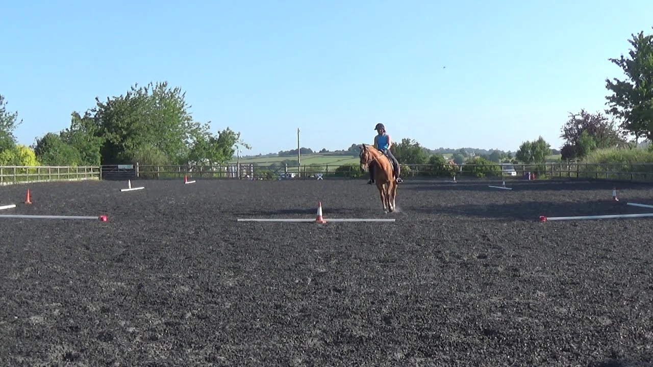 Transition Test - Bitless Side Pull