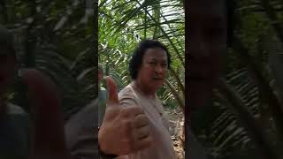 Penangkapan Pelaku Pemerkosaan