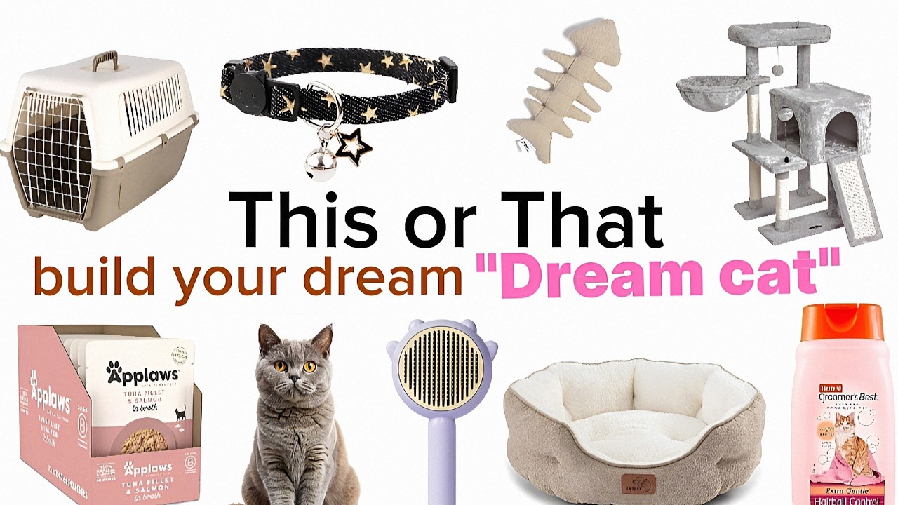 This or That build your dream 