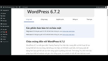 Cách Update Định Kỳ Để Vá Lỗi Bảo Mật Chống Hacker - Tự Học Thiết kế Website Wordpress Siêu Tốc