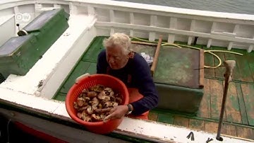 Wind Power - A New Course for Heligoland (1) | Made in Germany