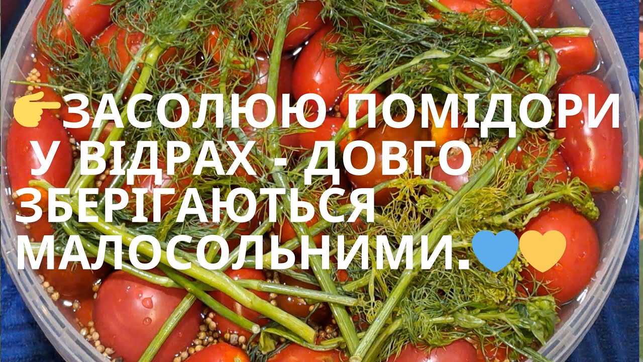 👉Вдосконалений рецепт малосольних помідорів у відрах пластикових. Ферментовані або квашені.💙💛