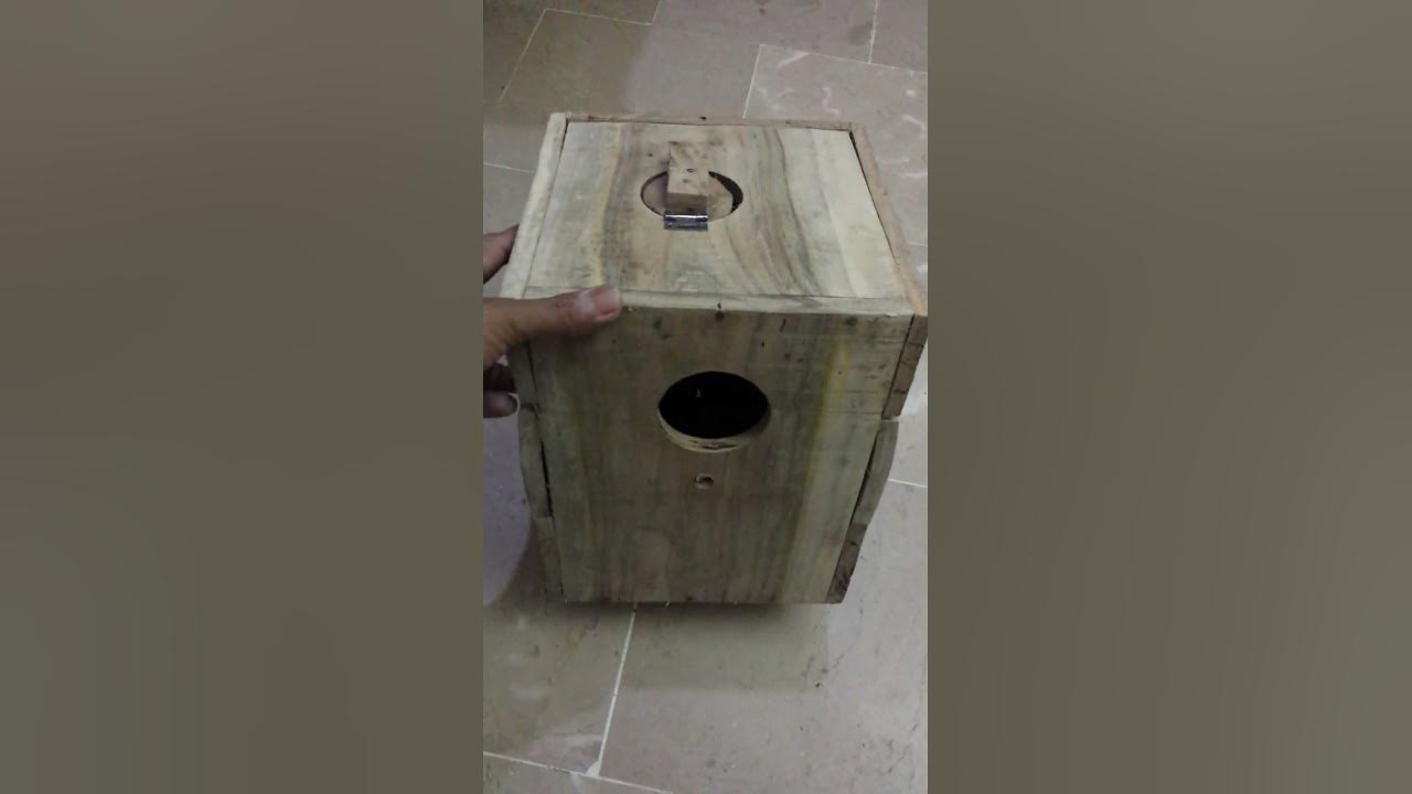 keekar wood breeding box in Urdu/Hindi YouTube